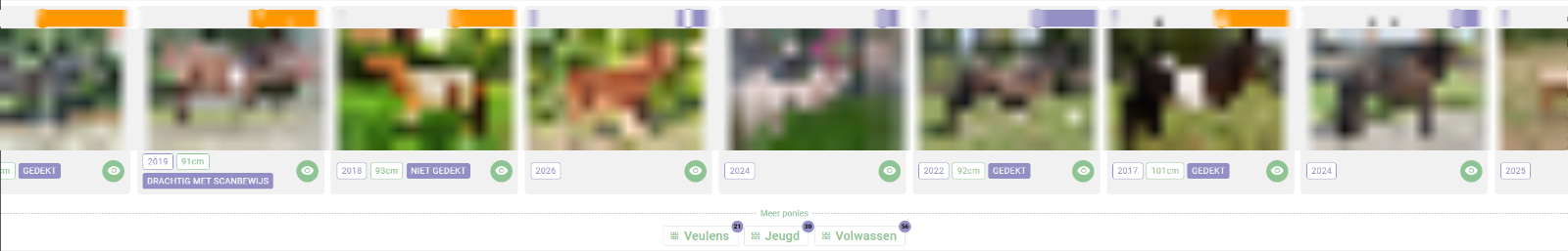 Uitgelichte dieren